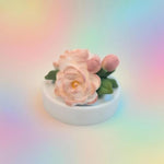 Blush Fairyland SUMERRO