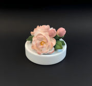 Blush Fairyland SUMERRO